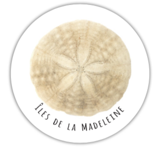NOTRE DOLLAR DE SABLE