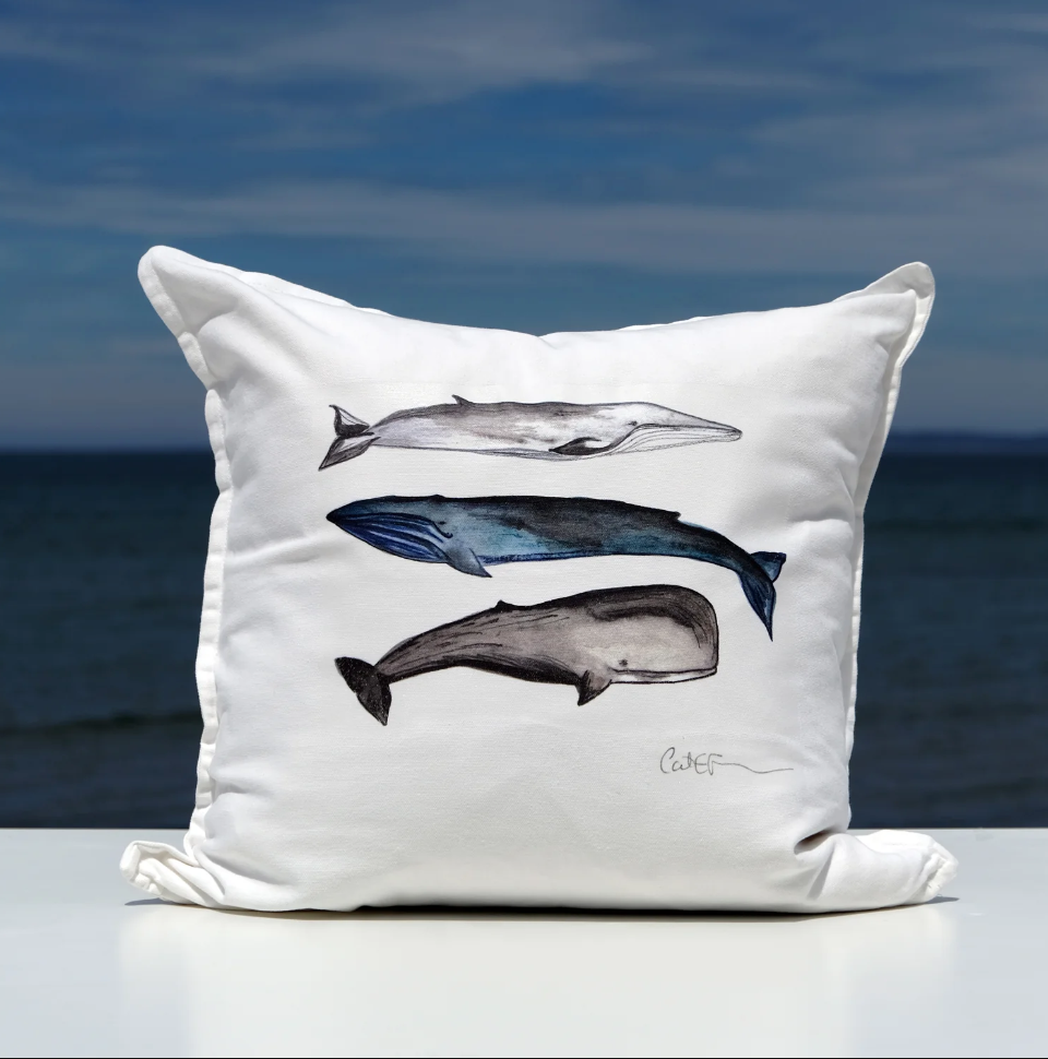 LES 3 BALEINES