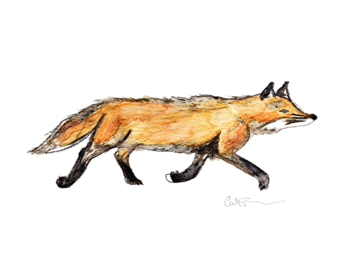 LE RENARD QUI COURT
