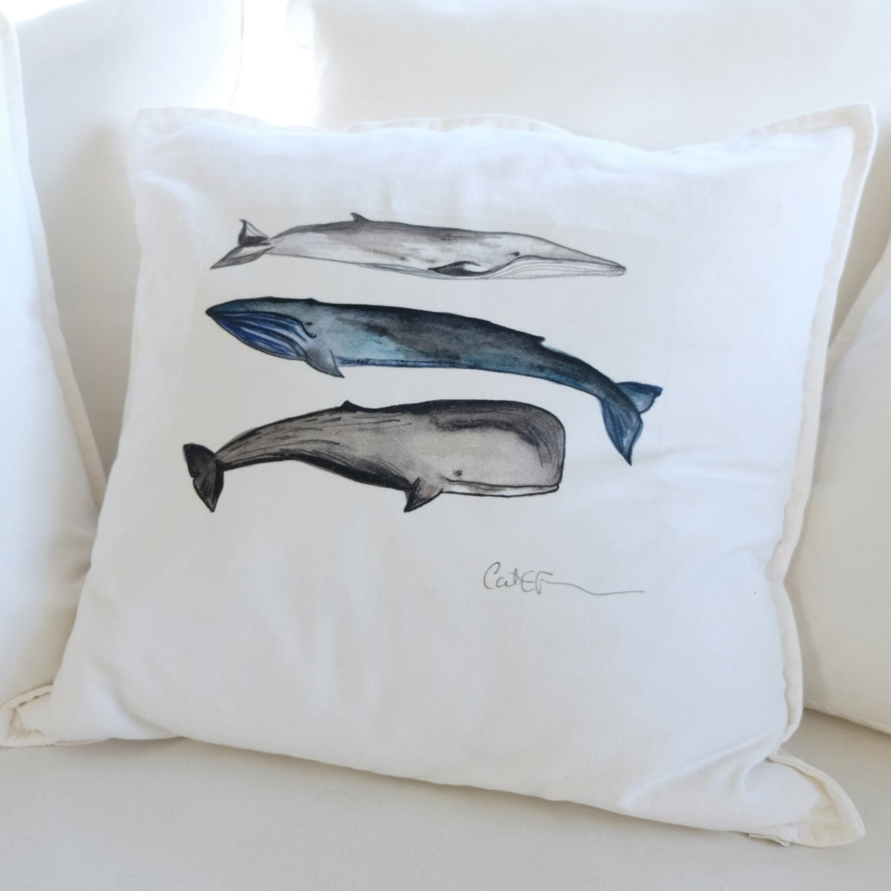 LES 3 BALEINES