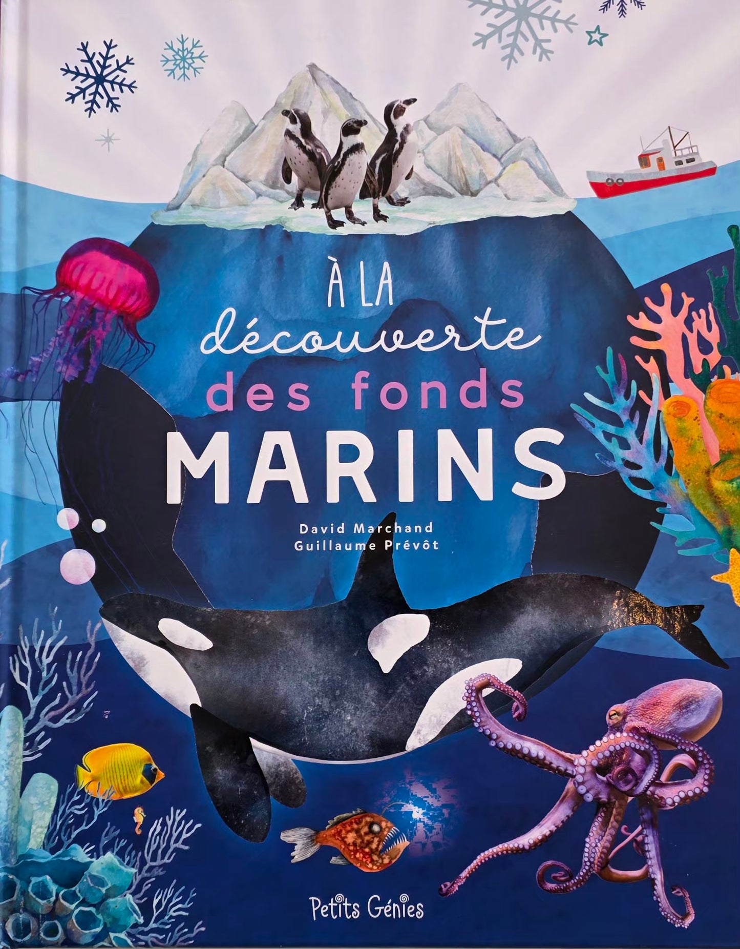 A LA DÉCOUVERTE DES FONDS MARINS