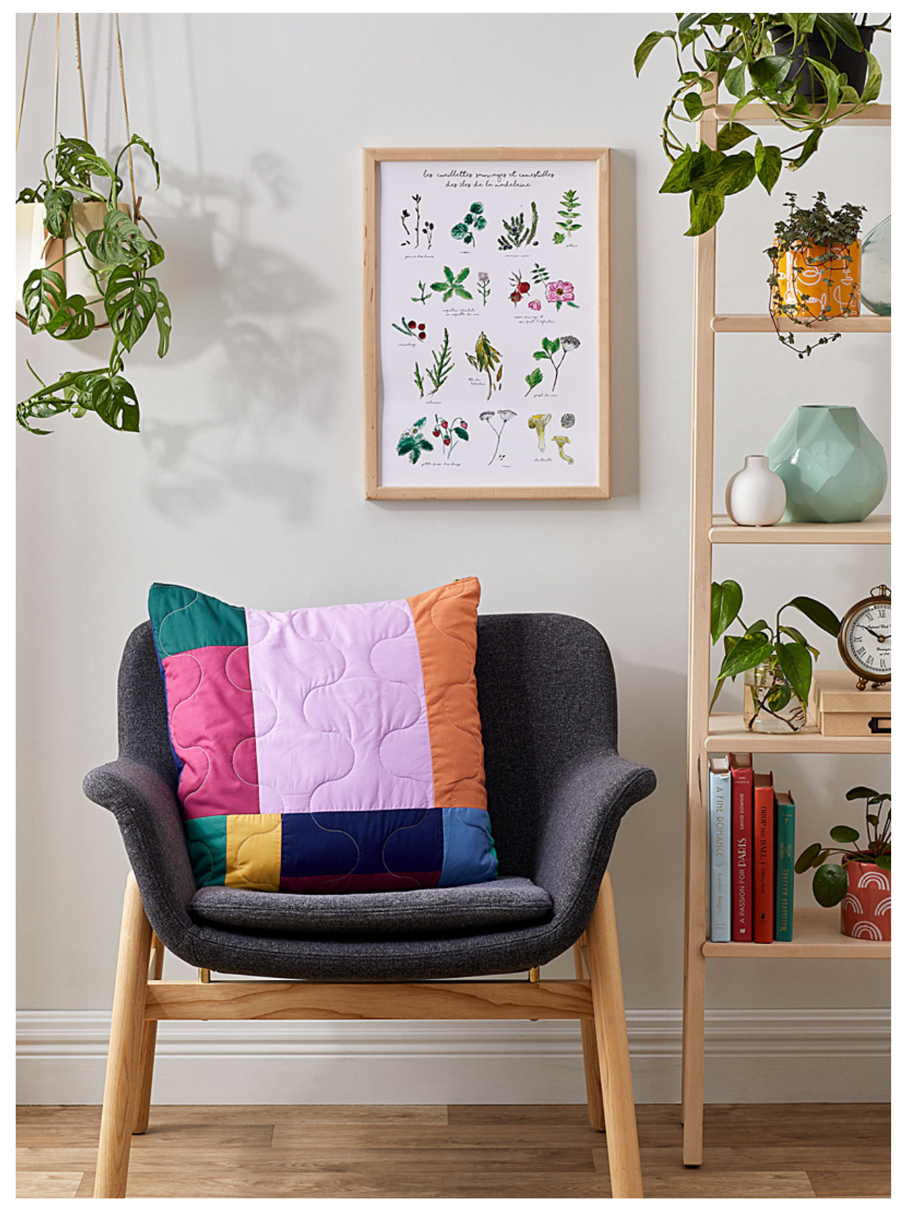13 PLANTES AROMATIQUES ET COMESTIBLES