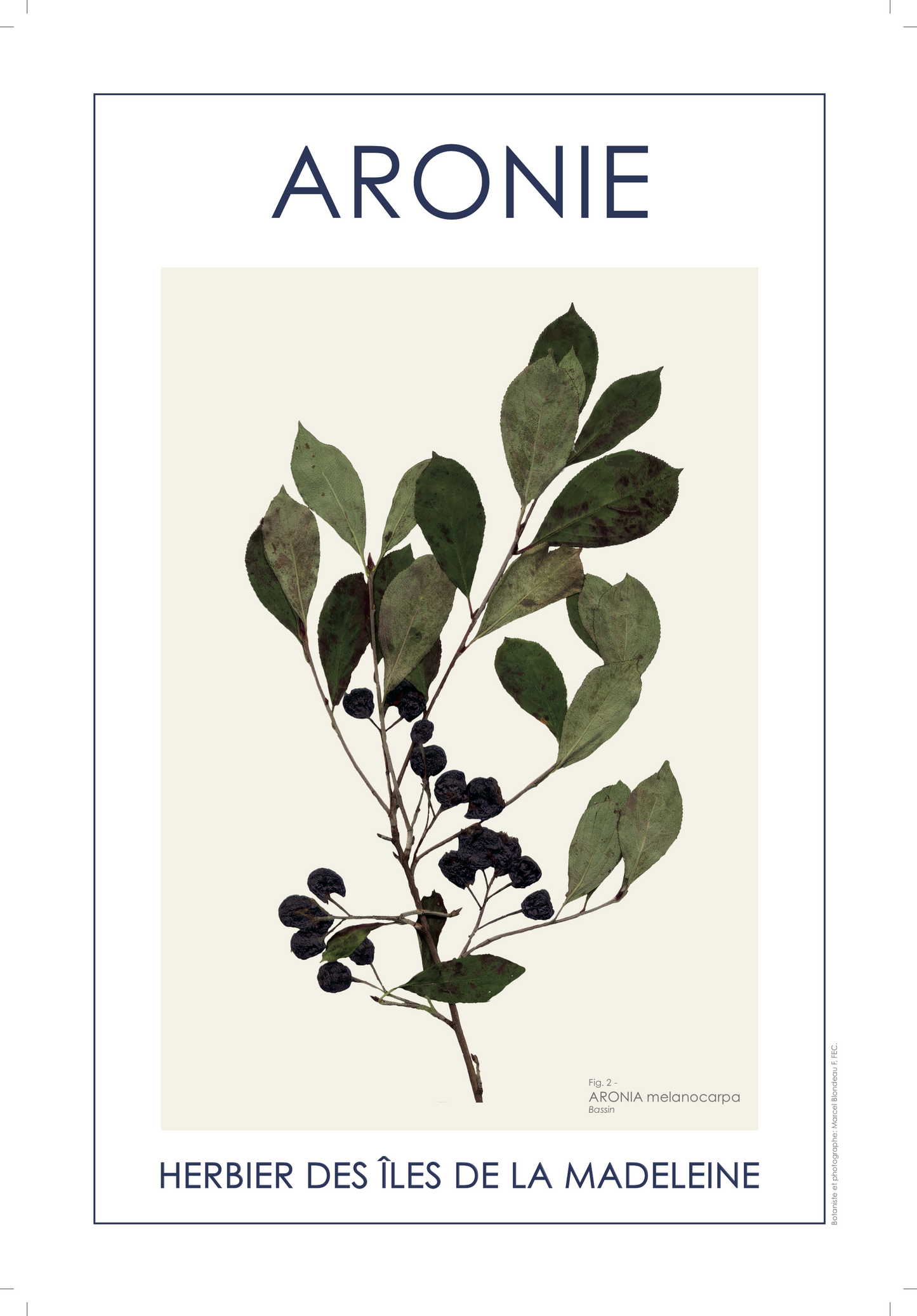 ARONIE