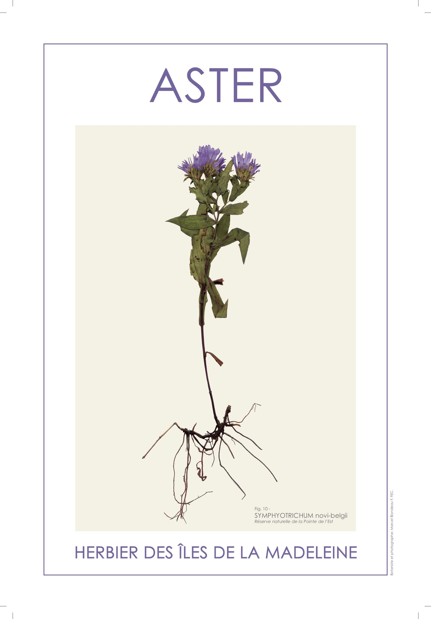 ASTER