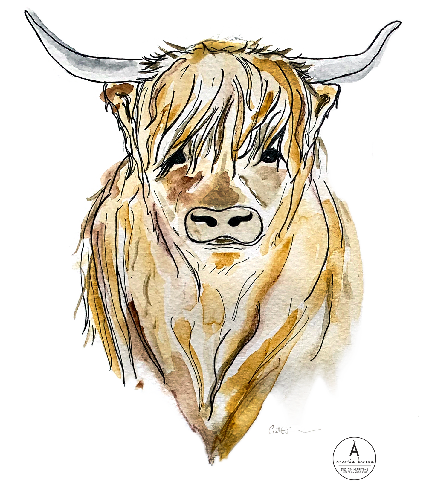 BOEUF BLOND