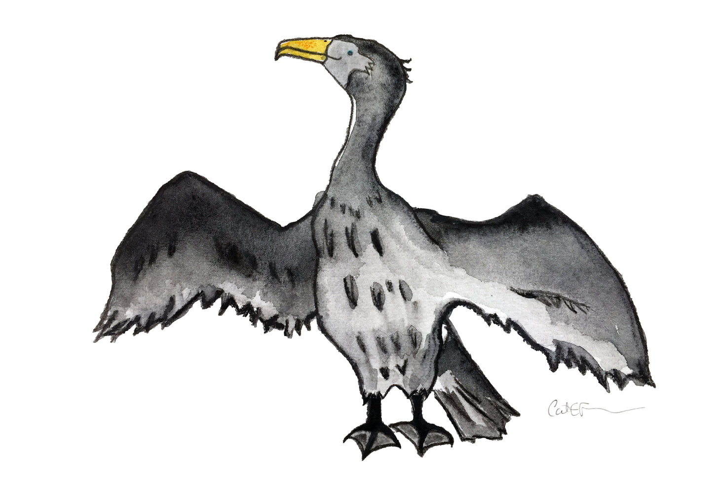 LE GRAND CORMORAN