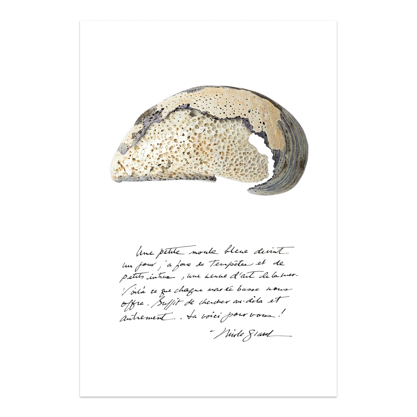 moule, moule bleue, photographie moule et calligraphie, mussel, mussel photography and calligraphy, coastal art, art maritime, À Marée Basse