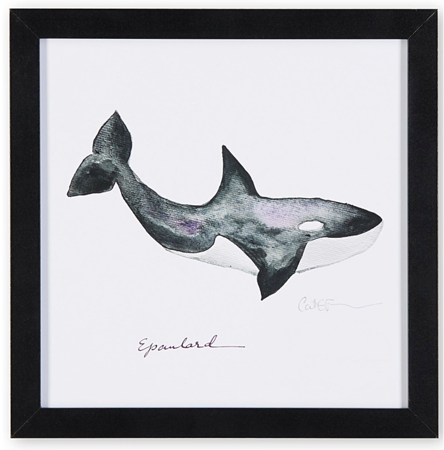 affiche épaulard, illustration épaulard, épaulard, épaulard sur fond blanc, orca illustration, orca poster, orca on white background, whale illustration, art maritime, maritime art, À Marée Basse