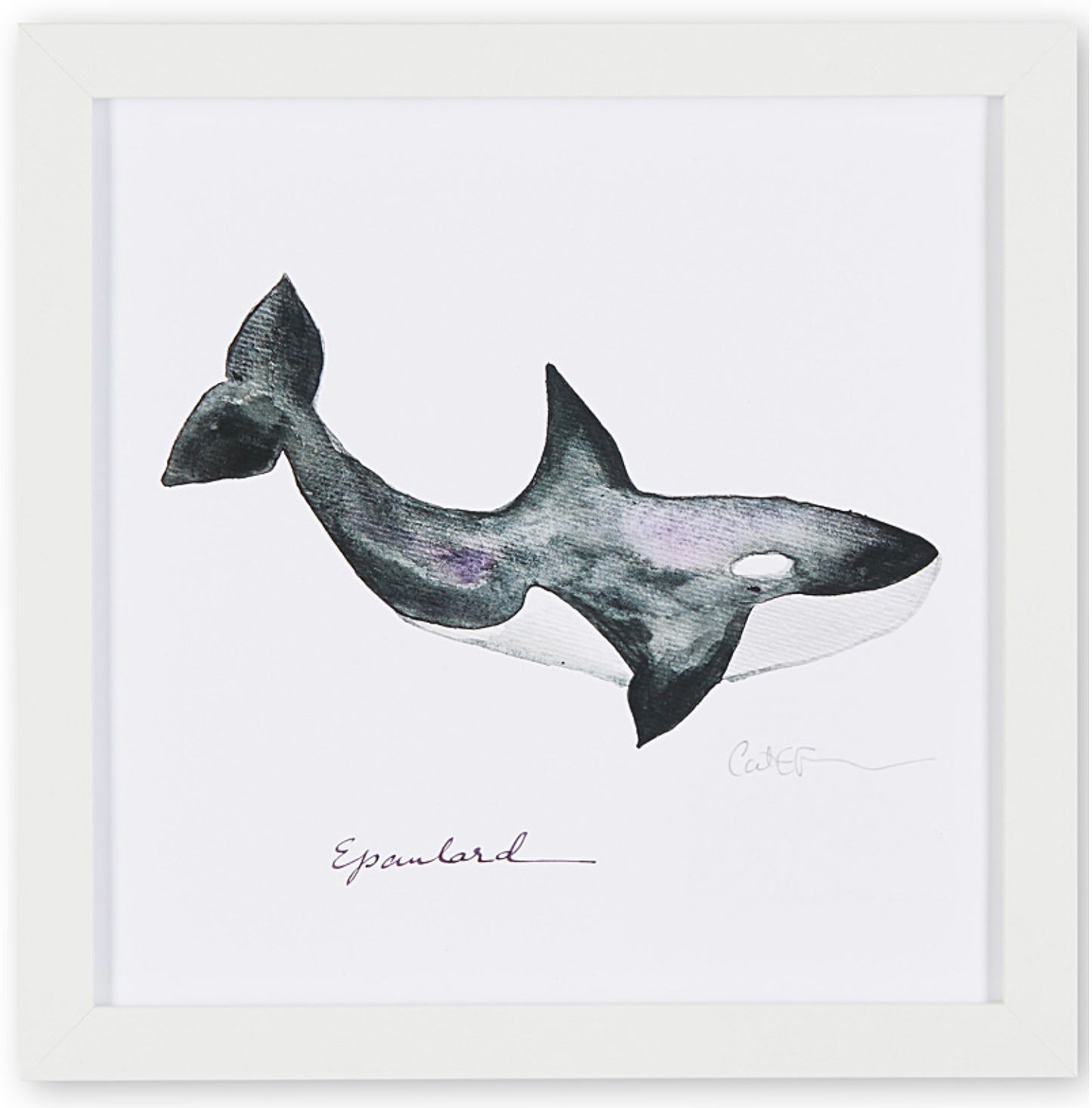 affiche épaulard, illustration épaulard, épaulard, épaulard sur fond blanc, orca illustration, orca poster, orca on white background, whale illustration, art maritime, maritime art, À Marée Basse