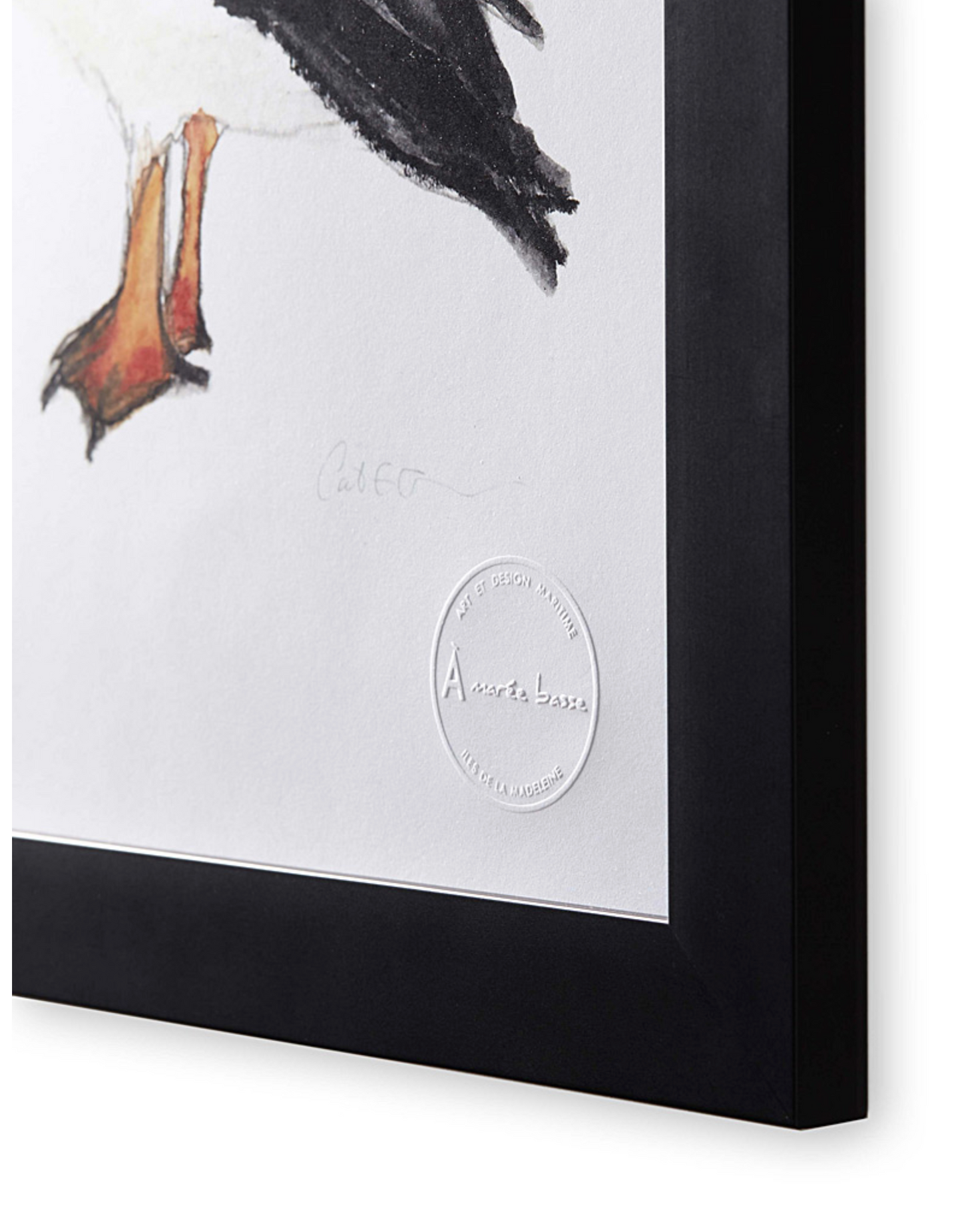 macareux, affiche macareux, illustration macareux, puffin, puffin illustration, coastal art, art maritime, À Marée Basse, common puffin, atlantic puffin