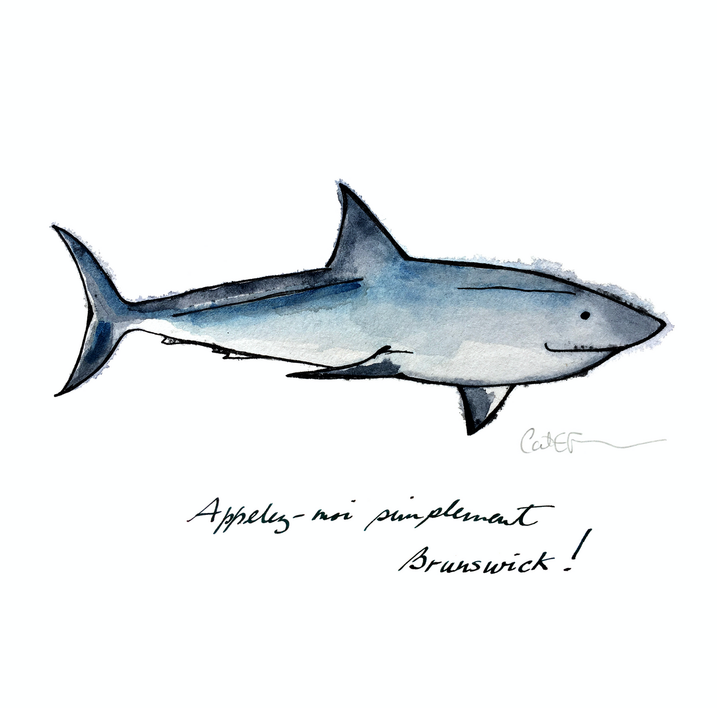 requin, shark, illustration requin, illustration requin brunswick, shark illustration, coastal art, art maritime, À Marée Basse