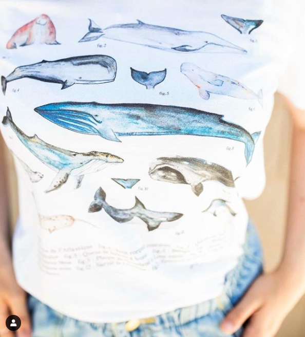 T-shirt MAMM. - ADULTE
