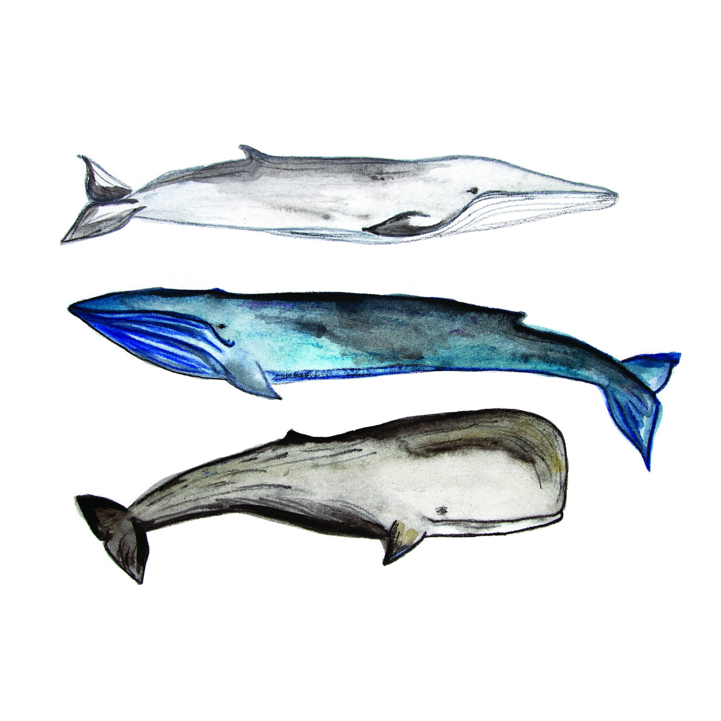 3 BALEINES DU GOLFE