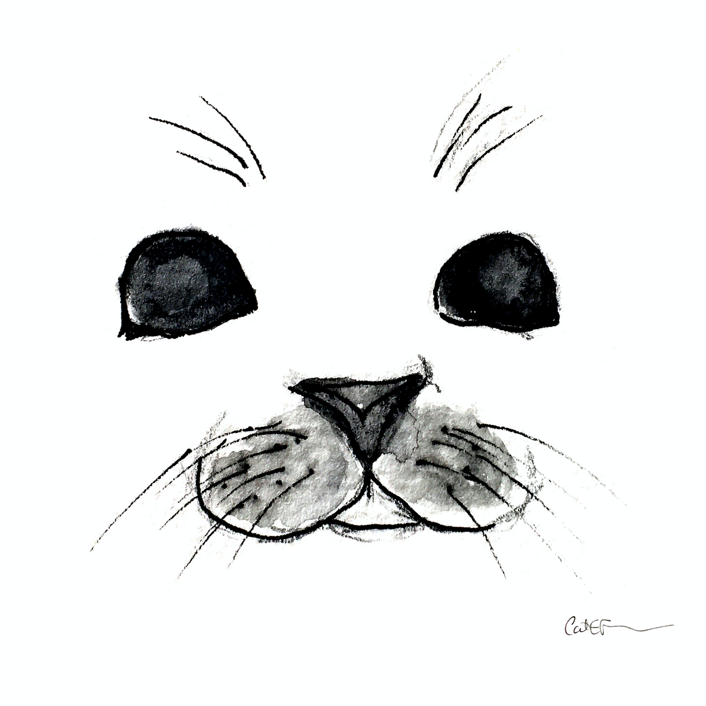 PORTRAIT DE BLANCHON