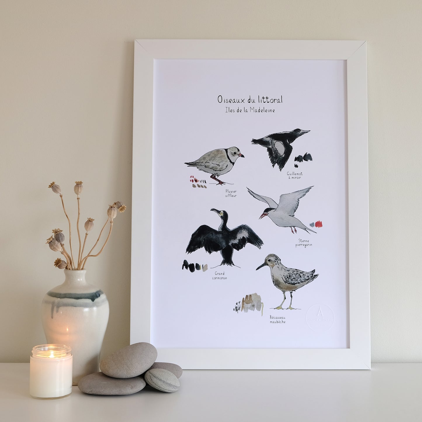 NOS OISEAUX DU LITTORAL