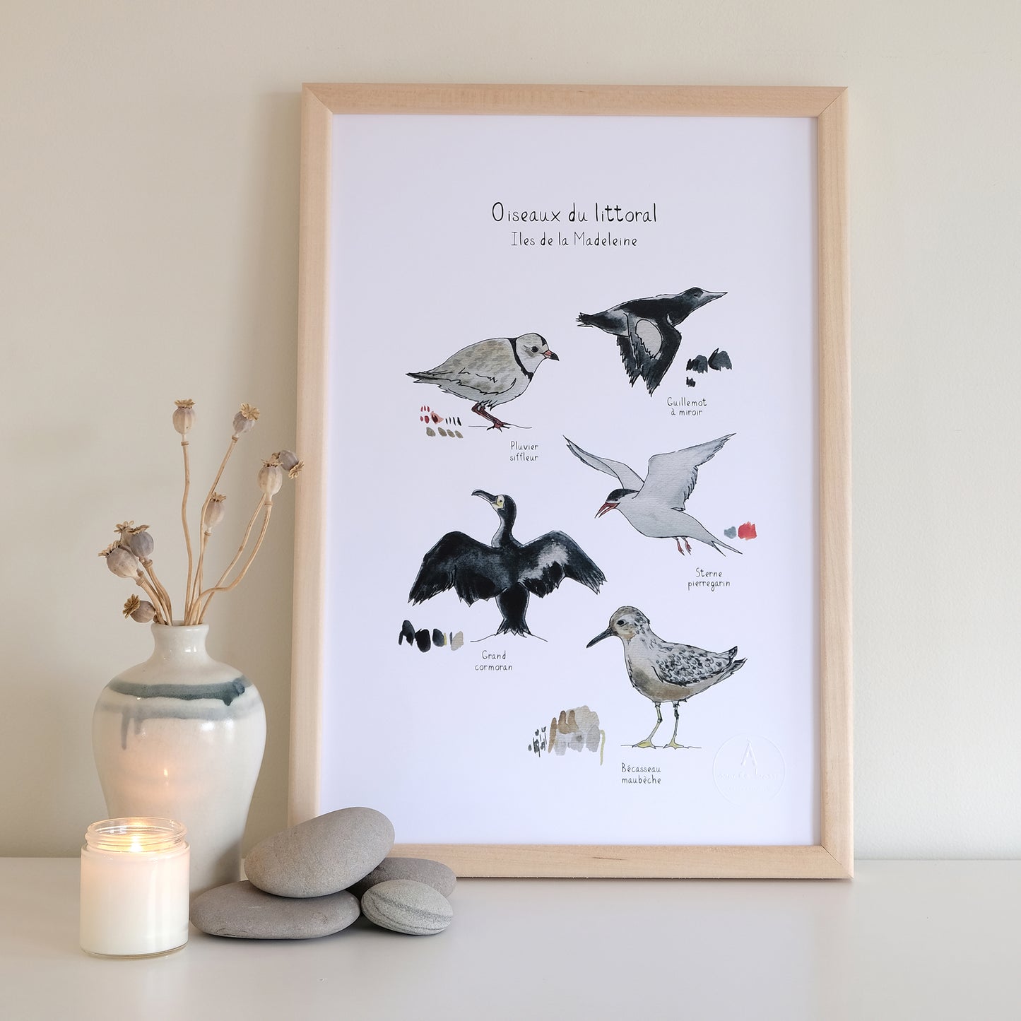 NOS OISEAUX DU LITTORAL