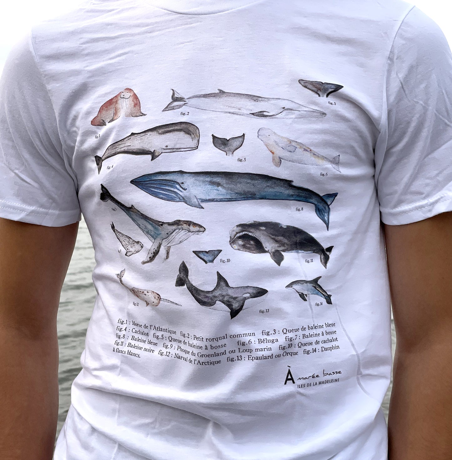 T-shirt MAMM. - ADULTE