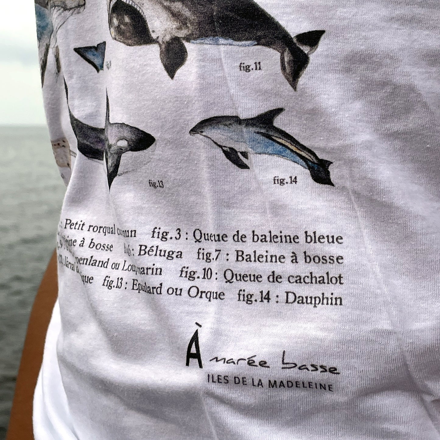 T-shirt MAMM. - ADULTE