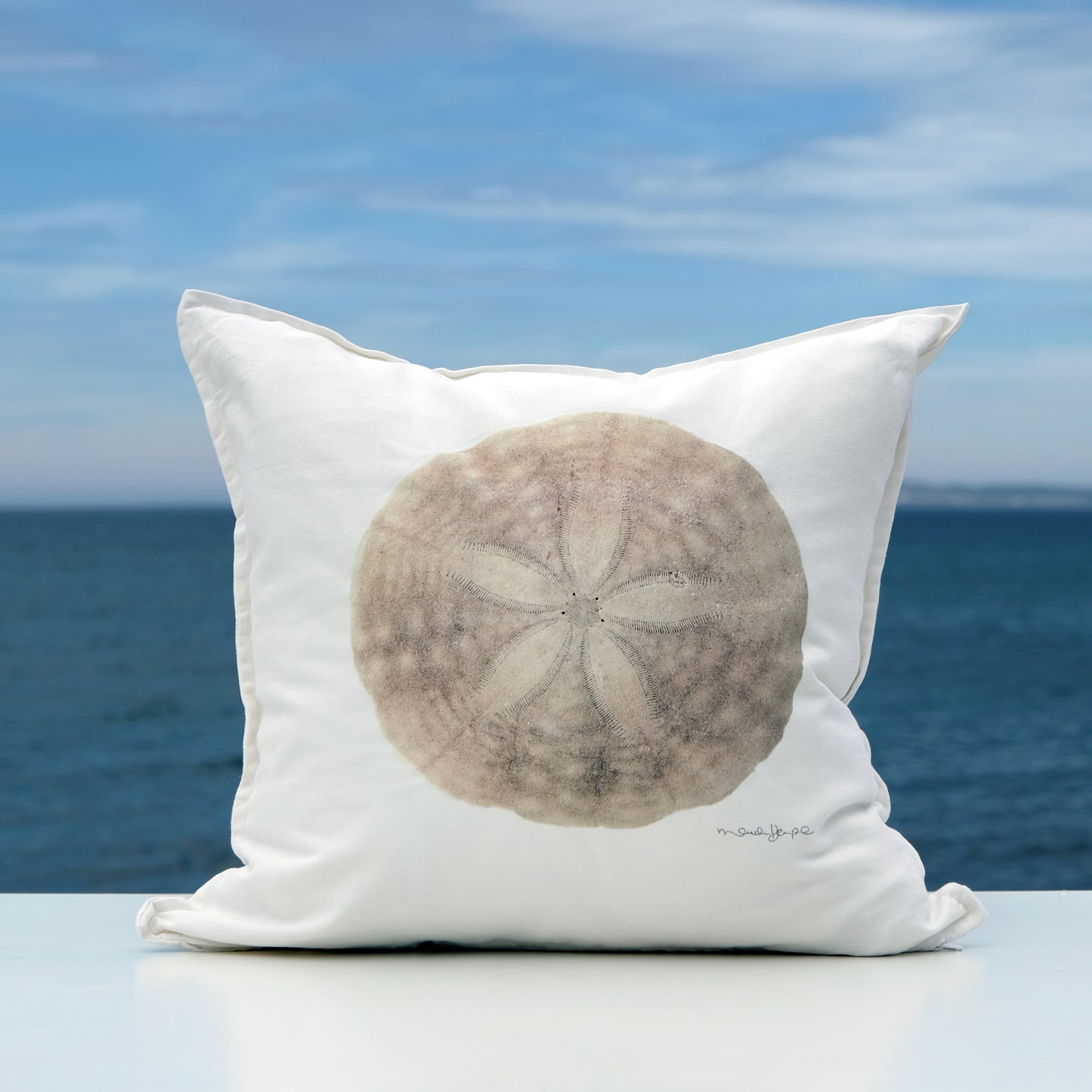 DOLLAR DE SABLE