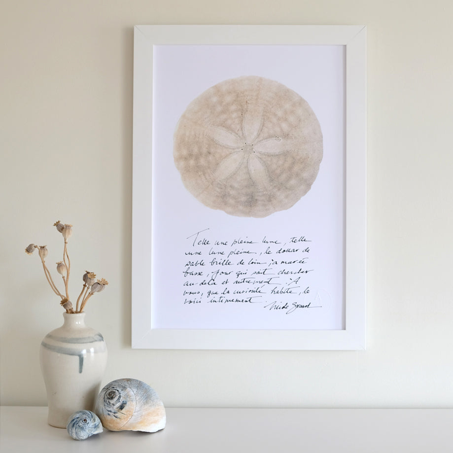 LE DOLLAR DE SABLE et calligraphie