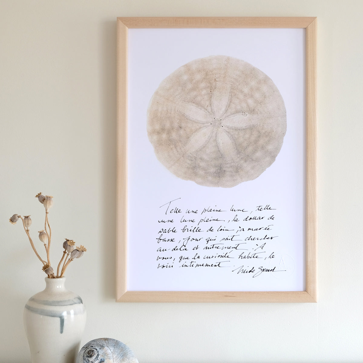 LE DOLLAR DE SABLE et calligraphie