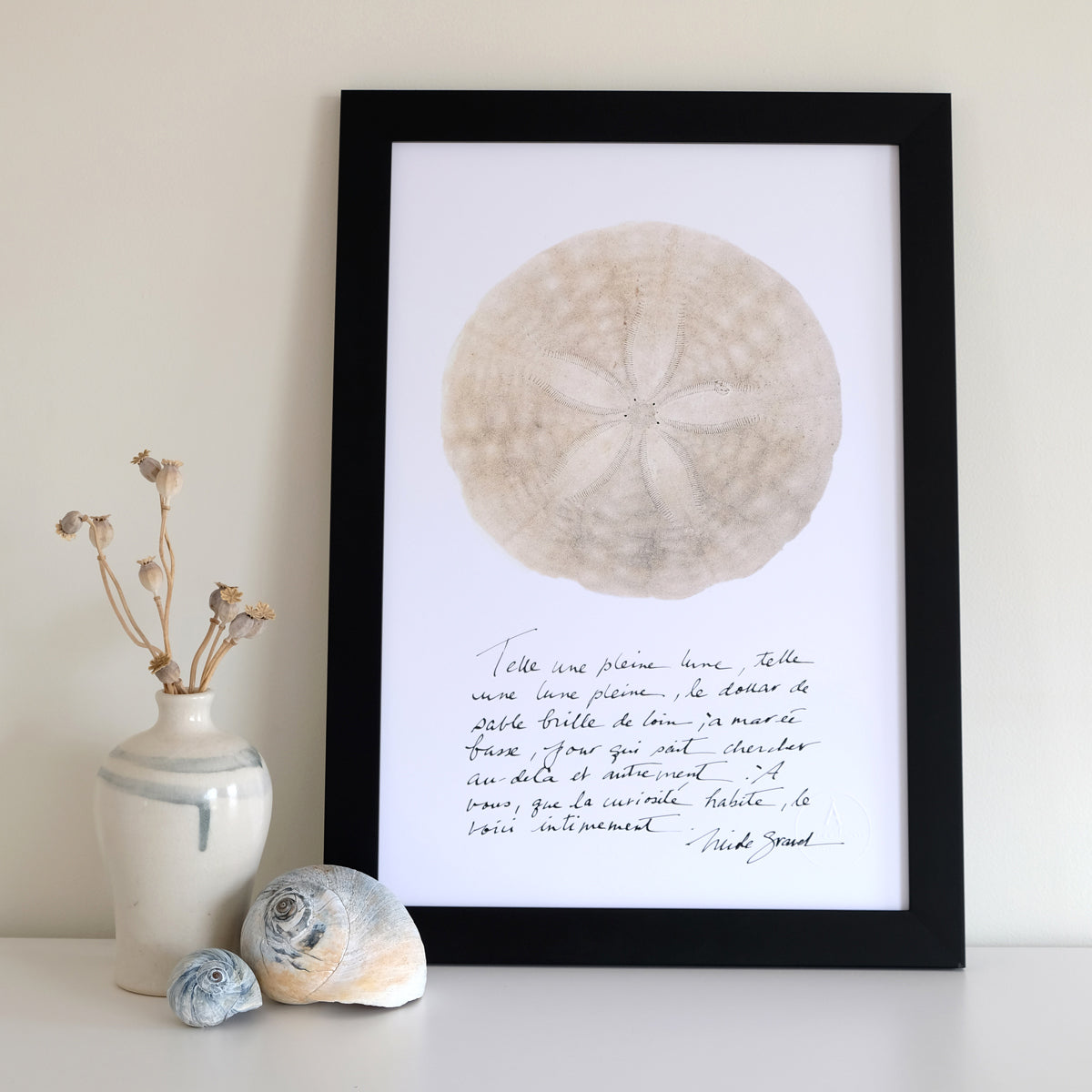 LE DOLLAR DE SABLE et calligraphie