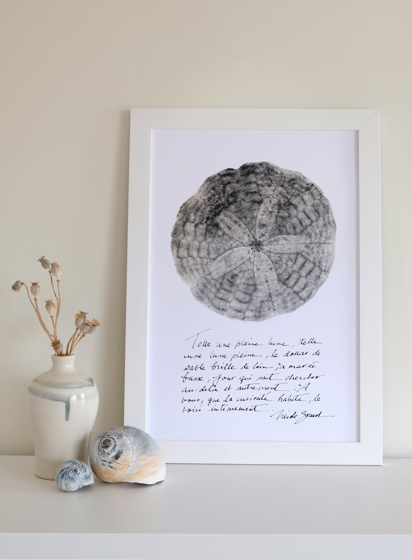 LE DOLLAR GRIS et calligraphie