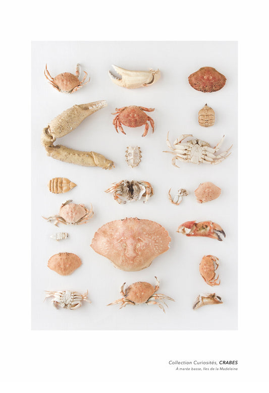 LES CRABES