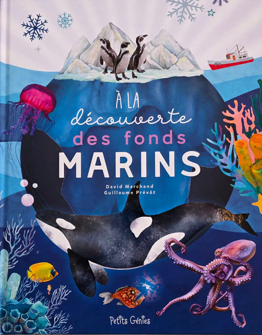 A LA DÉCOUVERTE DES FONDS MARINS