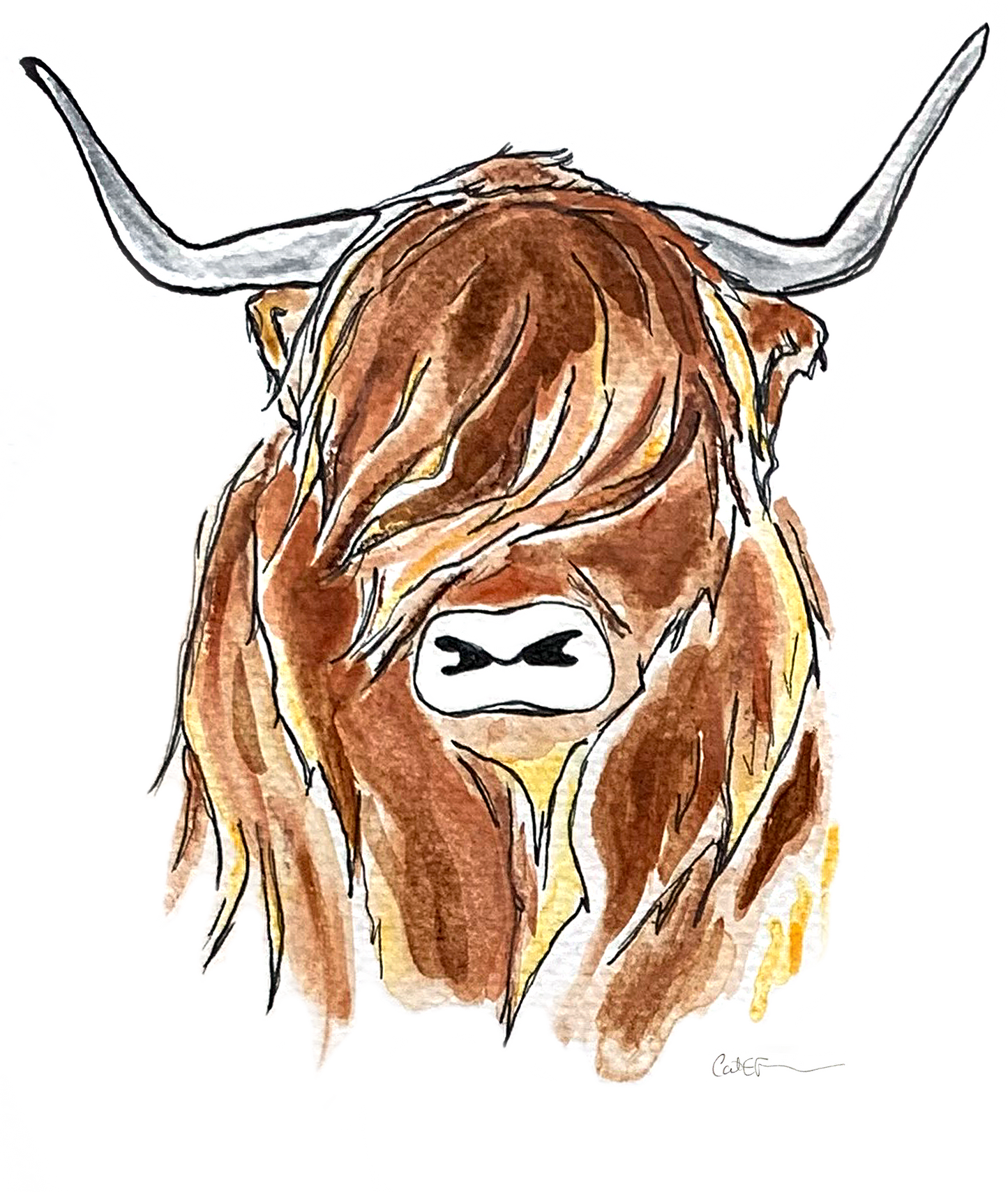 BOEUF TOUPET