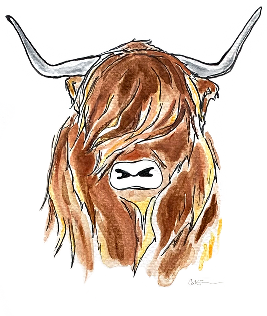 BOEUF TOUPET