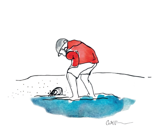 L'ENFANT ET LE BERNARD L'HERMITE