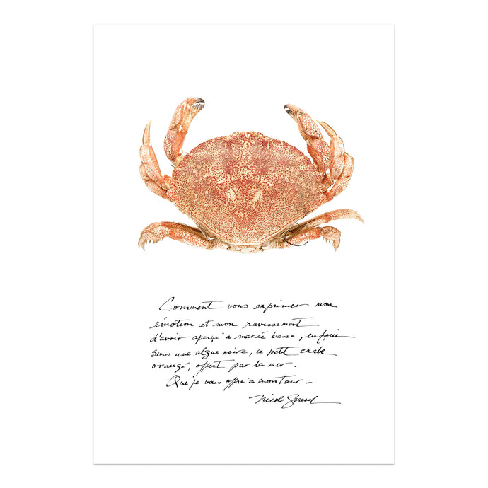 affiche crabe, crabe, photographie crabe, crabe sur fond blanc, crab photography, crab poster, crab on white background, coastal art, art maritime, À Marée Basse, crabe et écriture