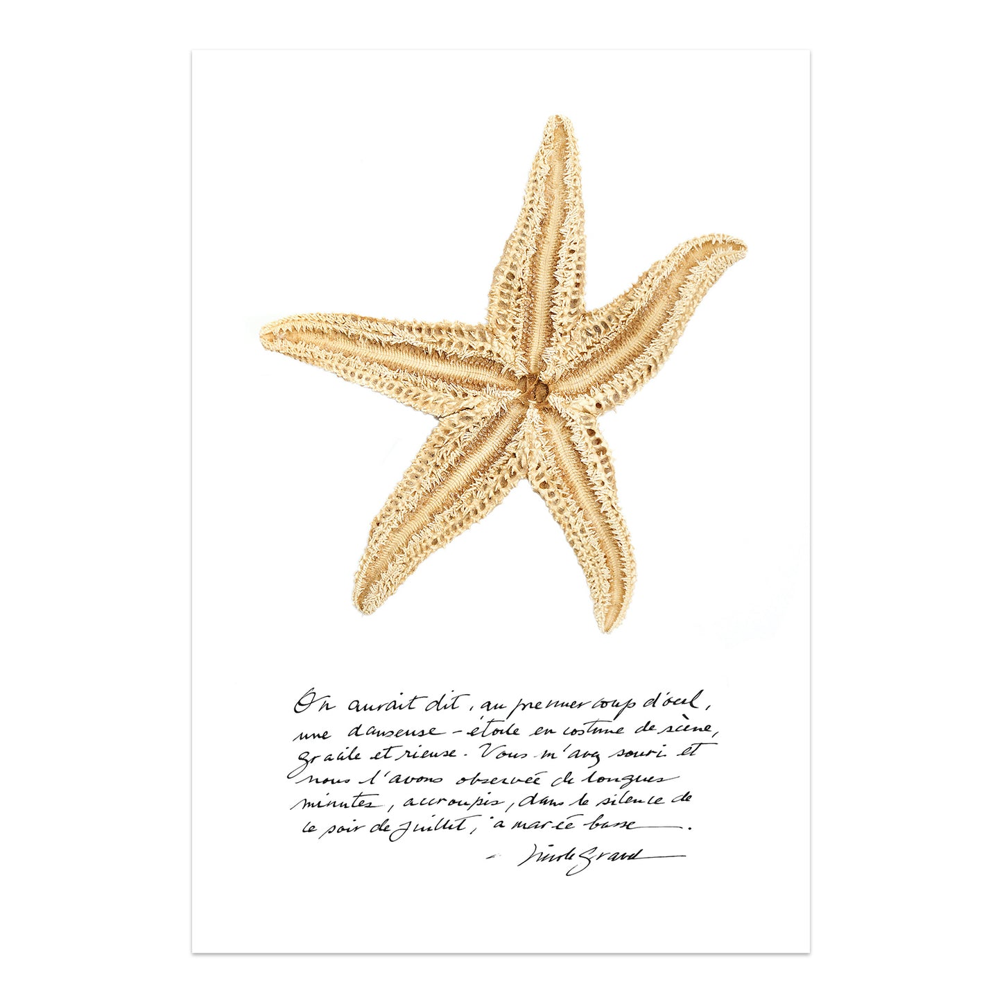 affiche étoile de mer, étoile de mer sur fond blanc, photographie étoile de mer sur fond blanc, starfish on white background, starfish photography, art maritime, maritime art, À Marée Basse, affiche étoile de mer et calligraphie, starfish and calligraphy poster