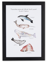 Charger l&#39;image dans la galerie, mammifères du golfe Saint Laurent, mammifères marins, dauphin à flanc blanc, morse, béluga, narval, loup marin, phoque du Groenland, affiche, art maritime, coastal art