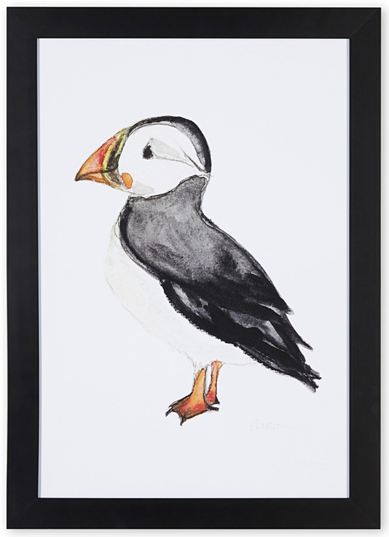 macareux, affiche macareux, illustration macareux, puffin, puffin illustration, coastal art, art maritime, À Marée Basse, common puffin, atlantic puffin