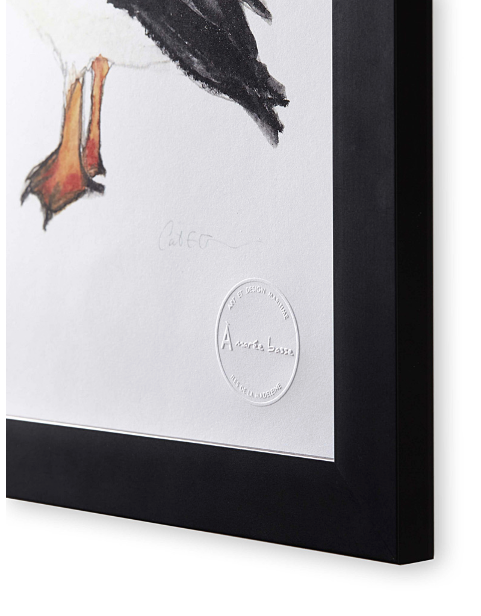 macareux, affiche macareux, illustration macareux, puffin, puffin illustration, coastal art, art maritime, À Marée Basse, common puffin, atlantic puffin