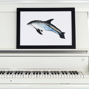 affiche dauphin à flancs blancs, illustration dauphin, dolphin illustration, dolphin poster, art maritime, maritime art, À Marée Basse