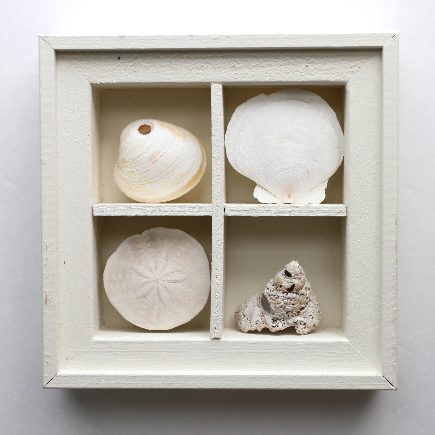 coquillage dans un cadre fait en bois, seashells in wooden box, art maritime, coastal art, coastal decoration