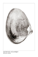 Charger l&#39;image dans la galerie, mactre, affiche mactre noir et blanc, photographie mactre, clam photography, clam, coastal art, art maritime, À Marée Basse
