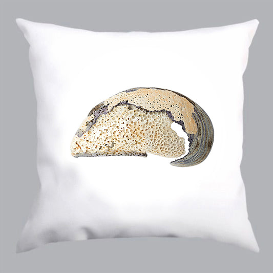coussin blanc, coussin blanc avec imprimé moule, white pillow, white pillow with mussel print, À Marée Basse
