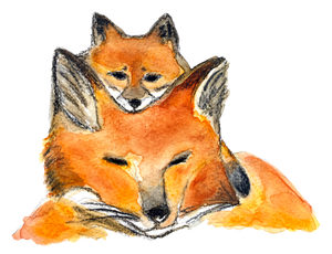 renards, illustration renards, maman renard et renardeau, affiche deux renards, fox illustration, mother and baby fox, À Marée Basse
