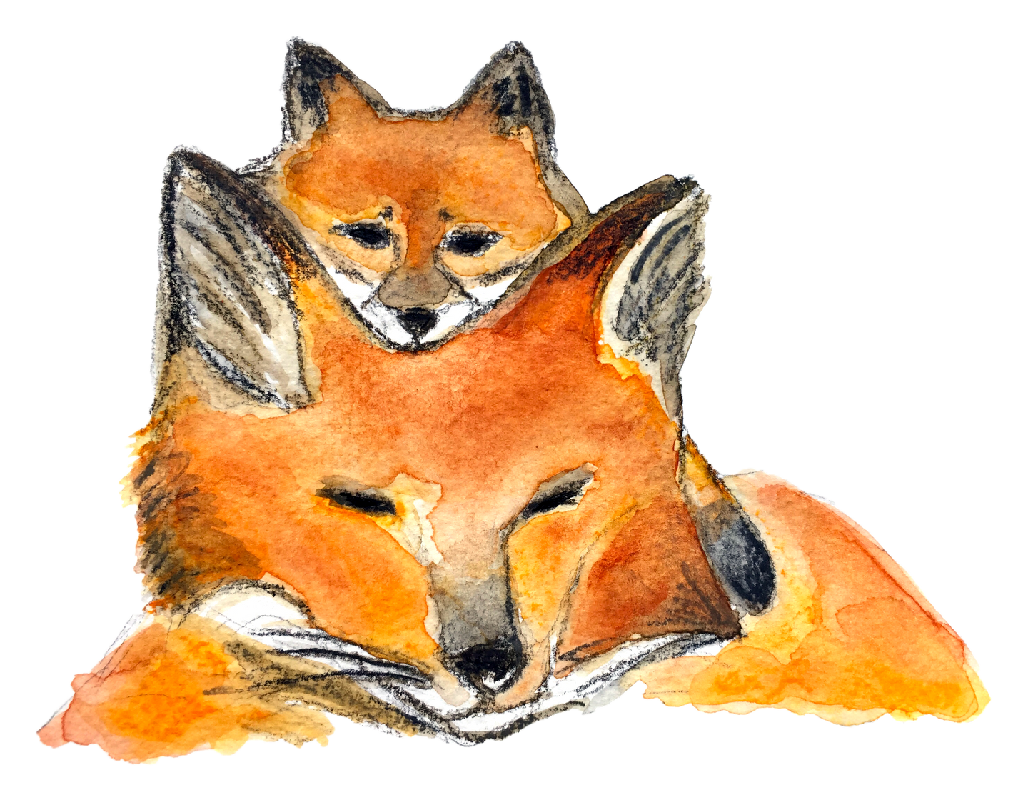 renards, illustration renards, maman renard et renardeau, affiche deux renards, fox illustration, mother and baby fox, À Marée Basse